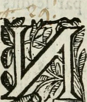 An illustration from Les Chartes nouvelles du pays et comté de Haynnau .., 1666, leaf 137