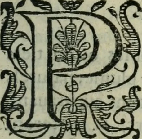 An illustration from Les Chartes nouvelles du pays et comté de Haynnau .., 1666, leaf 14