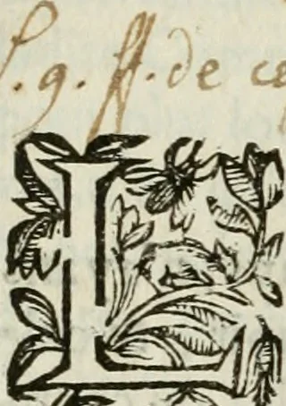 An illustration from Les Chartes nouvelles du pays et comté de Haynnau .., 1666, leaf 149