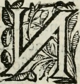 An illustration from Les Chartes nouvelles du pays et comté de Haynnau .., 1666, leaf 151