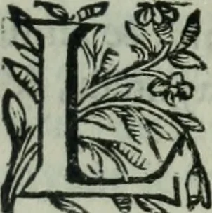 An illustration from Les Chartes nouvelles du pays et comté de Haynnau .., 1666, leaf 218
