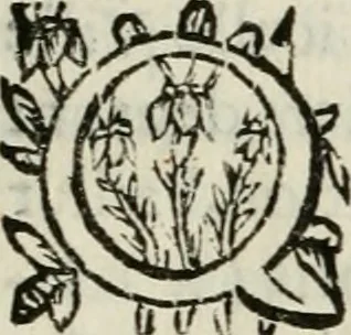 An illustration from Les Chartes nouvelles du pays et comté de Haynnau .., 1666, leaf 237
