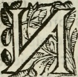 An illustration from Les Chartes nouvelles du pays et comté de Haynnau .., 1666, leaf 261