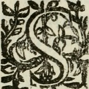 An illustration from Les Chartes nouvelles du pays et comté de Haynnau .., 1666, leaf 273