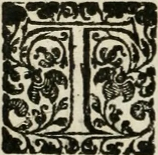 An illustration from Les Chartes nouvelles du pays et comté de Haynnau .., 1666, leaf 285