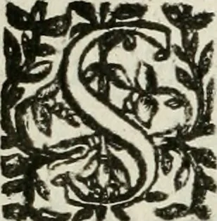 An illustration from Les Chartes nouvelles du pays et comté de Haynnau .., 1666, leaf 333
