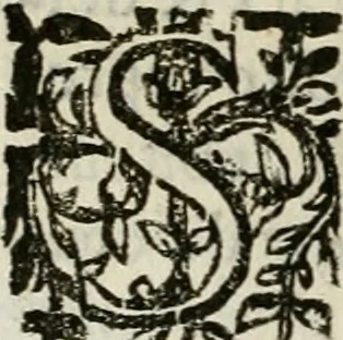 An illustration from Les Chartes nouvelles du pays et comté de Haynnau .., 1666, leaf 335