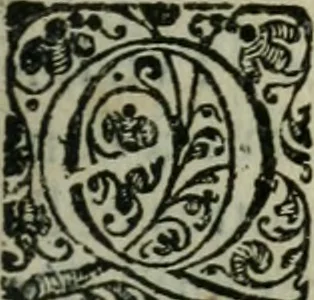 An illustration from Les Chartes nouvelles du pays et comté de Haynnau .., 1666, leaf 336