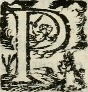An illustration from Les Chartes nouvelles du pays et comté de Haynnau .., 1666, leaf 337