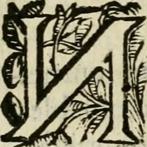 An illustration from Les Chartes nouvelles du pays et comté de Haynnau .., 1666, leaf 339