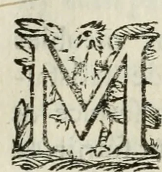 An illustration from Les Chartes nouvelles du pays et comté de Haynnau .., 1666, leaf 365