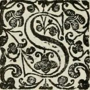 An illustration from Les Chartes nouvelles du pays et comté de Haynnau .., 1666, leaf 37