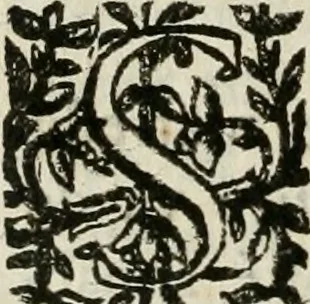 An illustration from Les Chartes nouvelles du pays et comté de Haynnau .., 1666, leaf 375