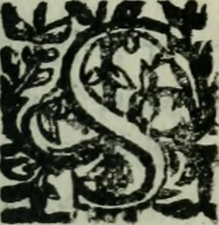 An illustration from Les Chartes nouvelles du pays et comté de Haynnau .., 1666, leaf 48