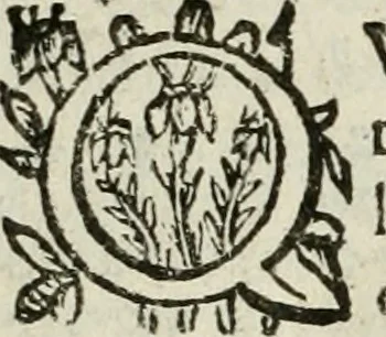 An illustration from Les Chartes nouvelles du pays et comté de Haynnau .., 1666, leaf 51