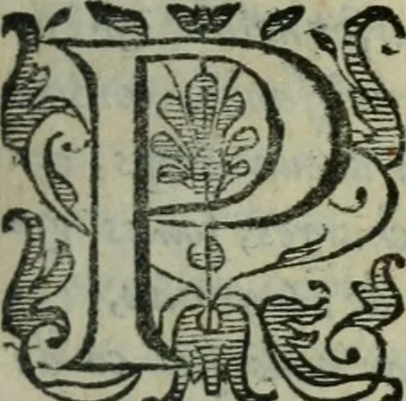 An illustration from Les Chartes nouvelles du pays et comté de Haynnau .., 1666, leaf 550