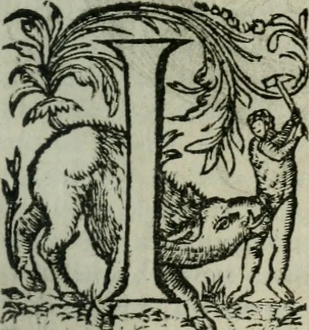 An illustration from Les Chartes nouvelles du pays et comté de Haynnau .., 1666, leaf 568