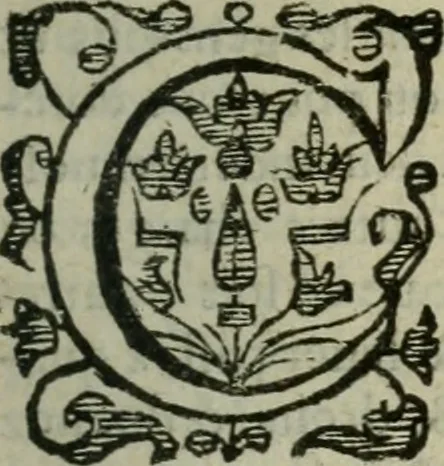 An illustration from Les Chartes nouvelles du pays et comté de Haynnau .., 1666, leaf 570