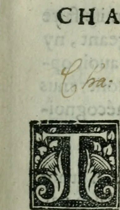 An illustration from Les Chartes nouvelles du pays et comté de Haynnau .., 1666, leaf 62