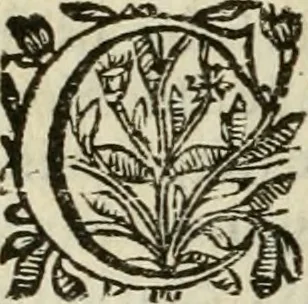 An illustration from Les Chartes nouvelles du pays et comté de Haynnau .., 1666, leaf 629