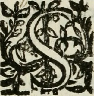 An illustration from Les Chartes nouvelles du pays et comté de Haynnau .., 1666, leaf 77