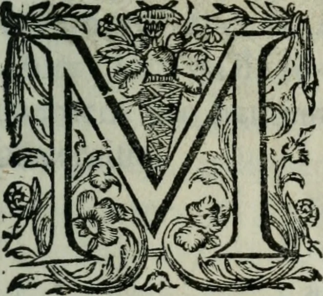 An illustration from Les Chartes nouvelles du pays et comté de Haynnau .., 1666, leaf 8