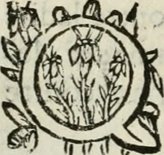 An illustration from Les Chartes nouvelles du pays et comté de Haynnau .., 1666, leaf 83