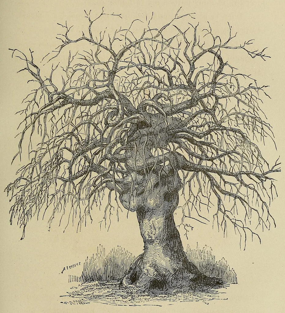 An illustration from Les chasseurs d'ivoire, 1876, leaf 117