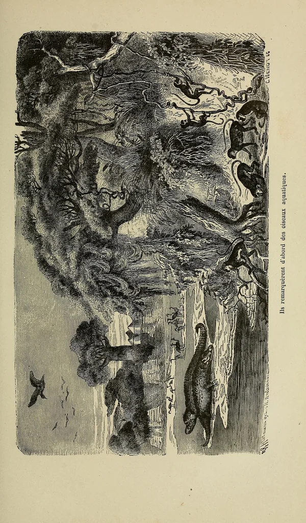 An illustration from Les chasseurs d'ivoire, 1876, leaf 181