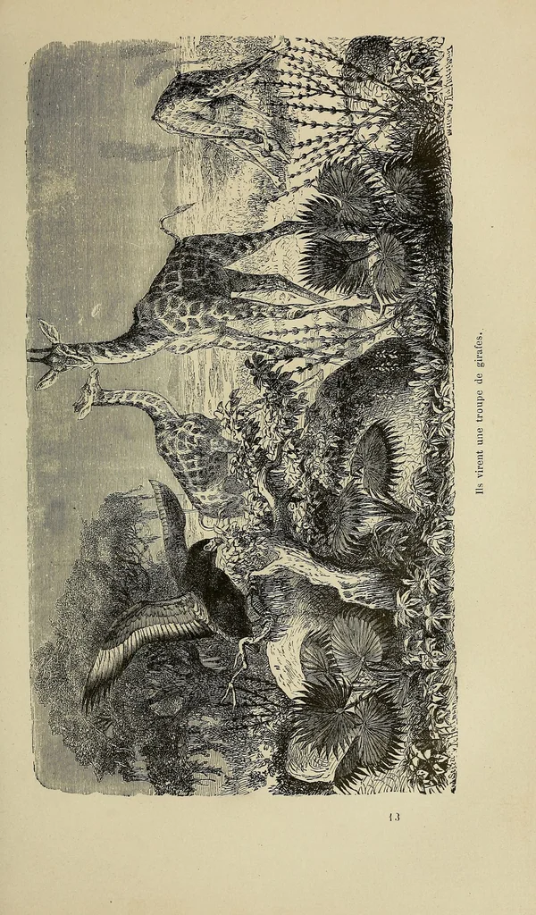 An illustration from Les chasseurs d'ivoire, 1876, leaf 203