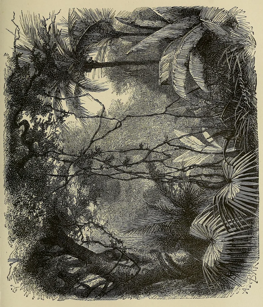An illustration from Les chasseurs d'ivoire, 1876, leaf 241