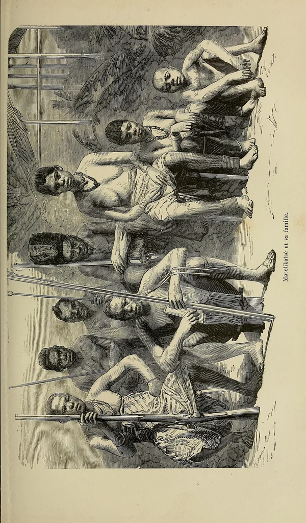 An illustration from Les chasseurs d'ivoire, 1876, leaf 269