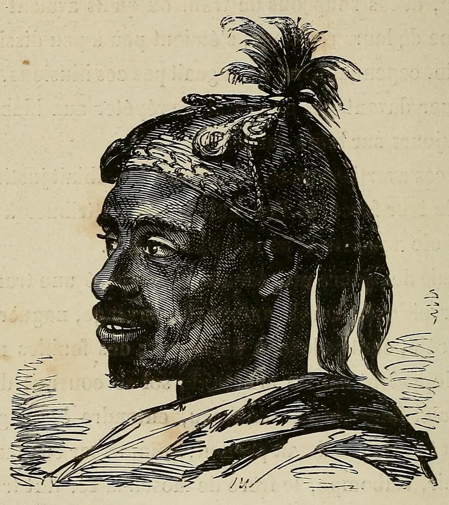 An illustration from Les chasseurs d'ivoire, 1876, leaf 300