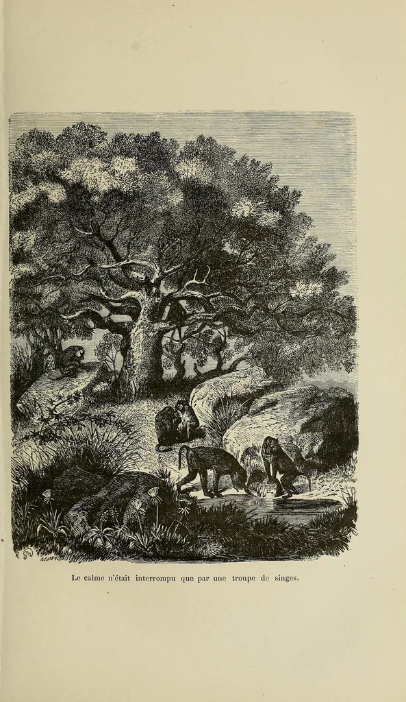 An illustration from Les chasseurs d'ivoire, 1876, leaf 33