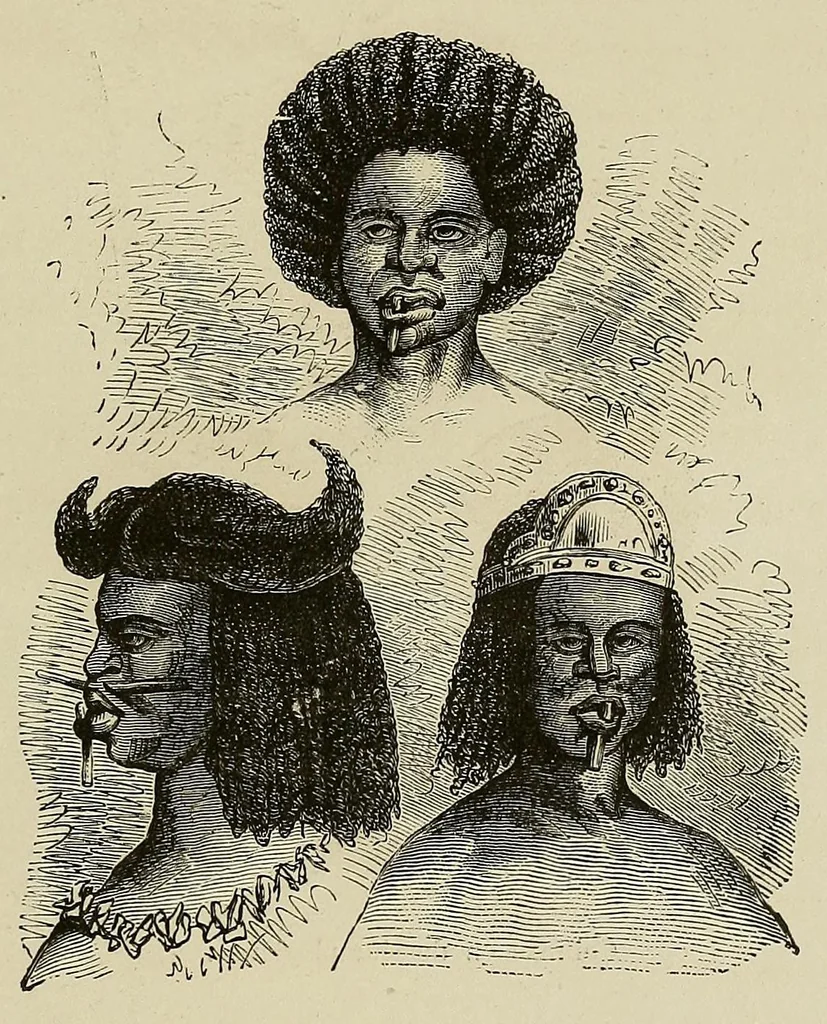 An illustration from Les chasseurs d'ivoire, 1876, leaf 389