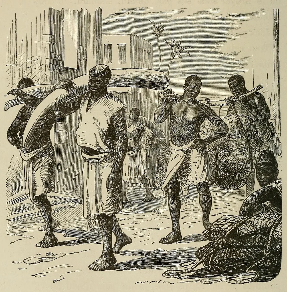 An illustration from Les chasseurs d'ivoire, 1876, leaf 76
