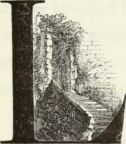 An illustration from Les châteaux historiques de la France, 1877, leaf 56