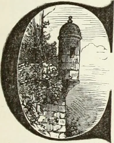 An illustration from Les châteaux historiques de la France, 1877, leaf 142