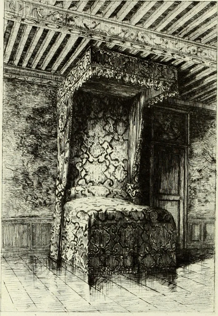 An illustration from Les châteaux historiques de la France, 1877, leaf 229