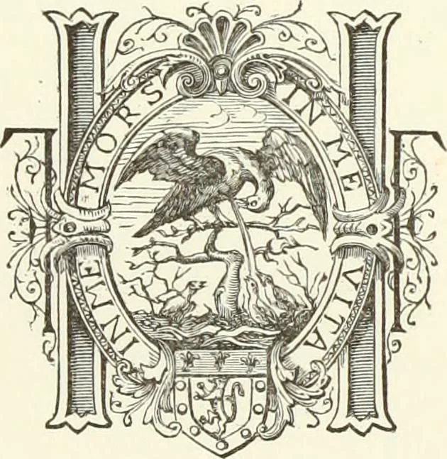 An illustration from Les châteaux historiques de la France, 1877, leaf 8