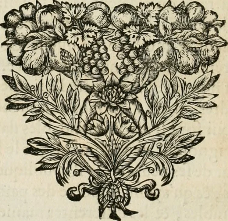 An illustration from Les cinq ordres d'architecture de Vincent Scamozzi ... : tirez du sixième livre de son Idée generale d'architecture : avec les planches originales, 1685, leaf 105