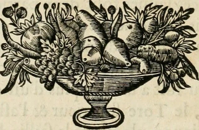 An illustration from Les cinq ordres d'architecture de Vincent Scamozzi ... : tirez du sixième livre de son Idée generale d'architecture : avec les planches originales, 1685, leaf 143