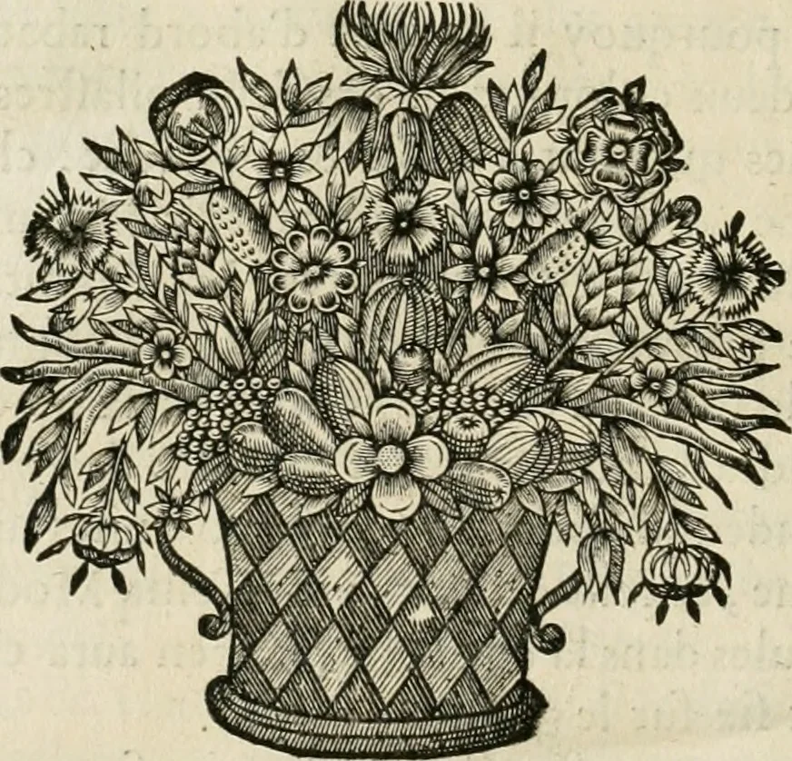 An illustration from Les cinq ordres d'architecture de Vincent Scamozzi ... : tirez du sixième livre de son Idée generale d'architecture : avec les planches originales, 1685, leaf 61