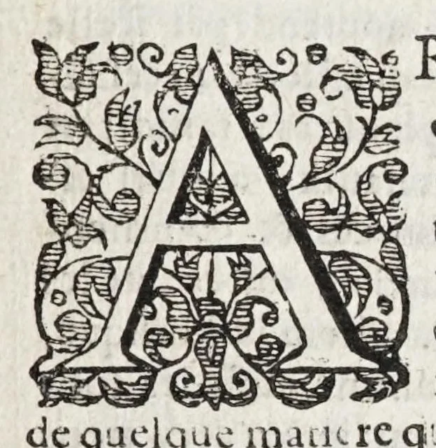 An illustration from Les cinq rangs de l'architecture, a scavoir, tuscane, dorique, ionique, corinthiaque et composee : avec l'instruction fondamentale, 1617, leaf 13