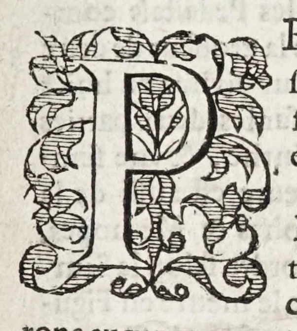An illustration from Les cinq rangs de l'architecture, a scavoir, tuscane, dorique, ionique, corinthiaque et composee : avec l'instruction fondamentale, 1617, leaf 25