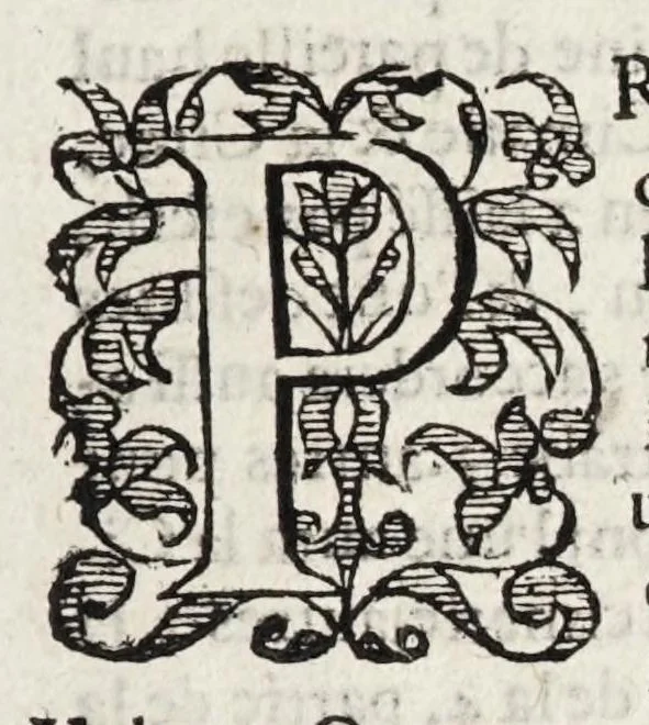 An illustration from Les cinq rangs de l'architecture, a scavoir, tuscane, dorique, ionique, corinthiaque et composee : avec l'instruction fondamentale, 1617, leaf 57