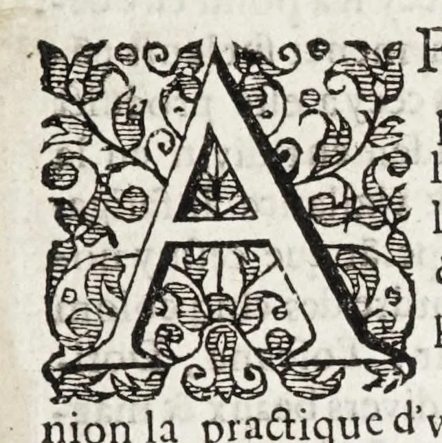 An illustration from Les cinq rangs de l'architecture, a scavoir, tuscane, dorique, ionique, corinthiaque et composee : avec l'instruction fondamentale, 1617, leaf 9