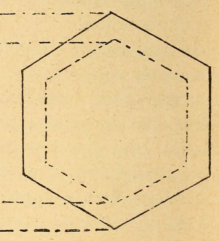 An illustration from Les écoles professionnelles et les écoles d'art industriel en Allemagne et en Autriche : le dessin dans les écoles primaires et moyennes : missions et études à Hambourg, Hannovre, Iserlohn, Remscheid (Westphalie), Vienne, Dresde, Munich, Dusseldorf, Berlin, Leipsig, 1896, leaf 290