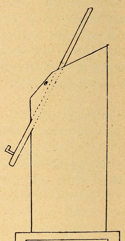 An illustration from Les écoles professionnelles et les écoles d'art industriel en Allemagne et en Autriche : le dessin dans les écoles primaires et moyennes : missions et études à Hambourg, Hannovre, Iserlohn, Remscheid (Westphalie), Vienne, Dresde, Munich, Dusseldorf, Berlin, Leipsig, 1896, leaf 304