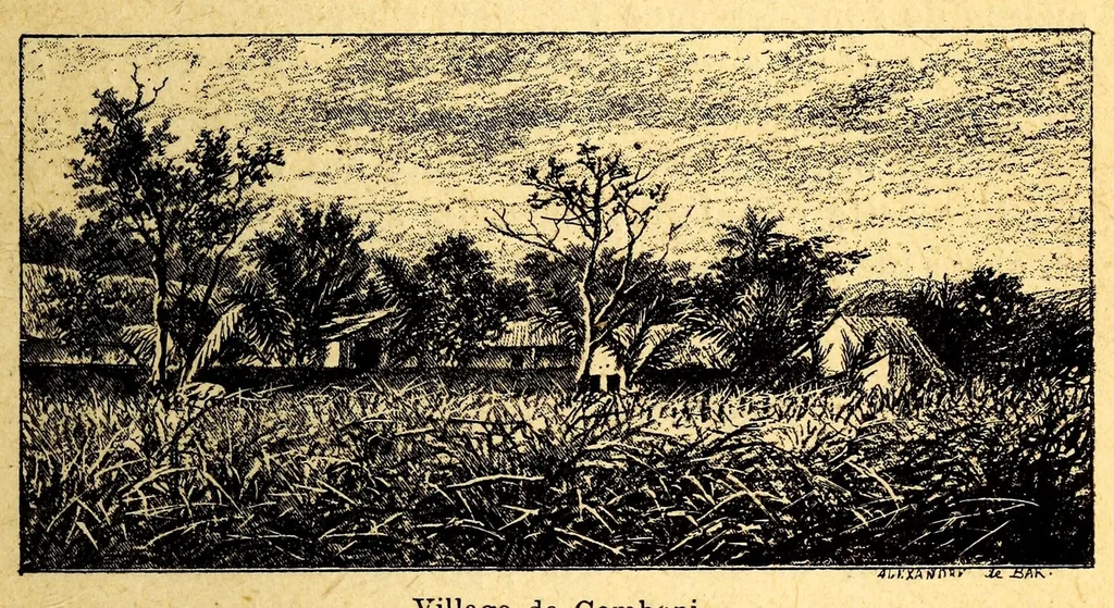 An illustration from Les colonies françaises;, 1889, leaf 123